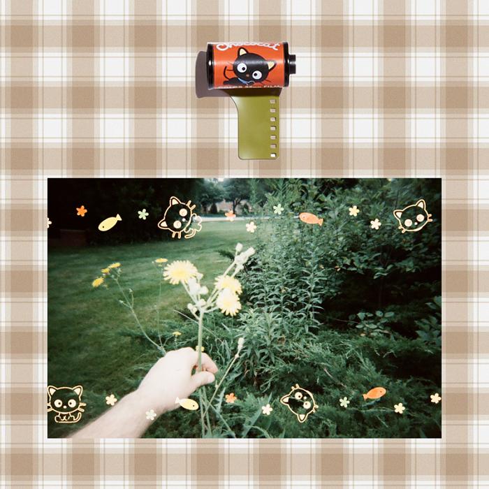 Orange Hello Kitty Chococat 35mm Special Border Film | NZ_HK86202